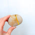 stone+glass: c-13-280